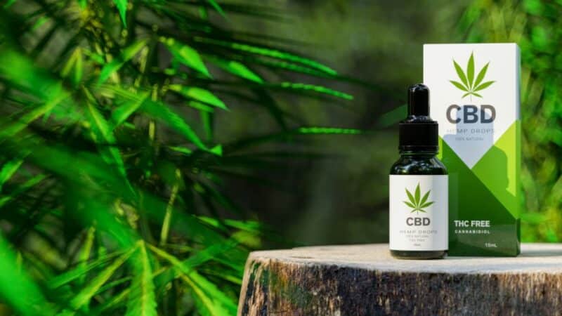 שמן CBD